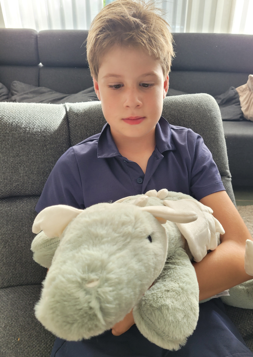 Educadora Weighted Dragon ist ein großartiger Freund für Ihr Kind. Das Gewicht hilft Ihrem Kind, sich in Momenten der Anspannung und Angst zu beruhigen.