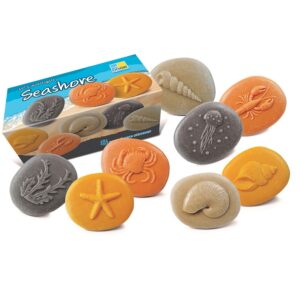 Das Meer Taststein-Set besteht aus 8 Steinen mit der Flora und Fauna des Meeres. Perfekt für Erkundungen im Freien und investigatives Spielen.